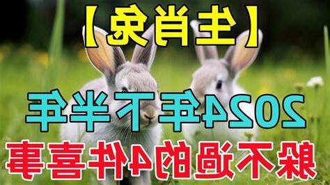 生肖兔 2024